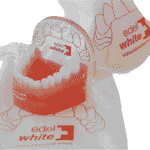 Modèle de dent de démonstration de la marque dentaire suisse edel+white à des fins de démonstration, modèle de dent avec couvercle de protection