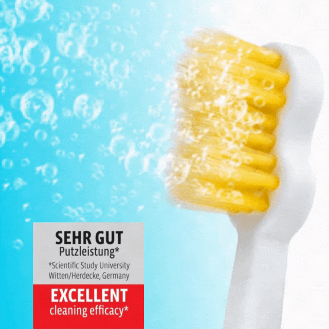 Edelwhite Sonic Generation Health Suite